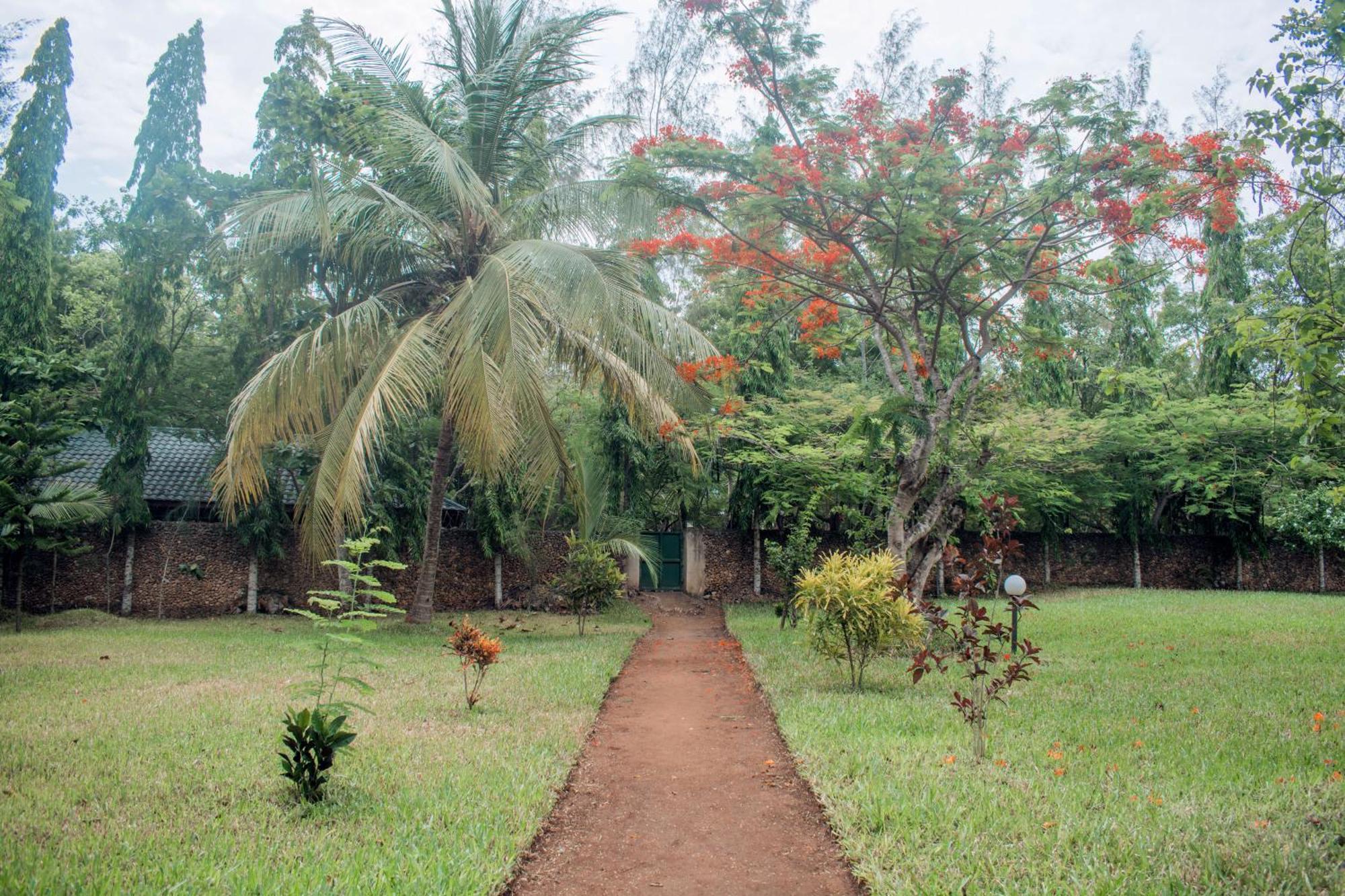 Kijani Cottages In Diani Praia de Diani Exterior foto