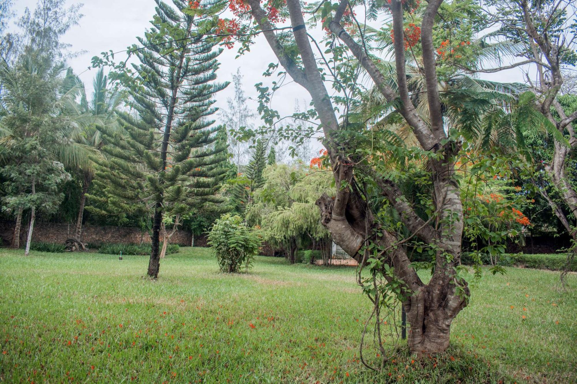 Kijani Cottages In Diani Praia de Diani Exterior foto