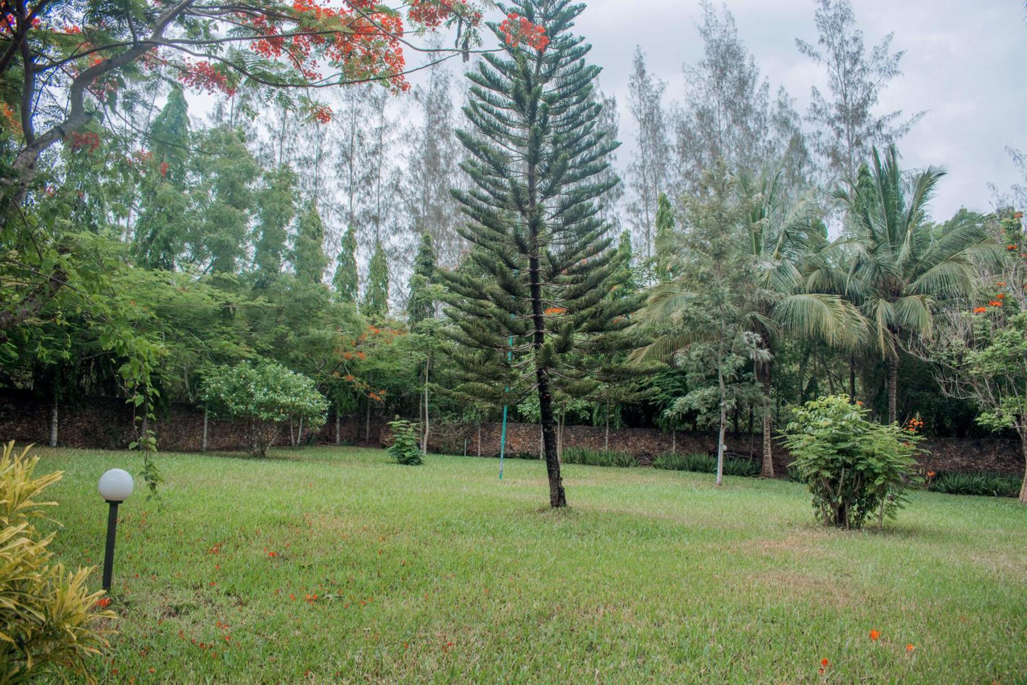 Kijani Cottages In Diani Praia de Diani Exterior foto